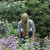 Profilbild von gartencristine