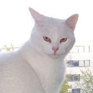 Profilbild von Catingrid