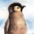 Profilbild von Busybee