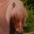 Profilbild von Lebenfreude