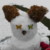 Profilbild von Vevechen@31