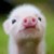 Profilbild von Andre