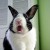 Profilbild von Lexi